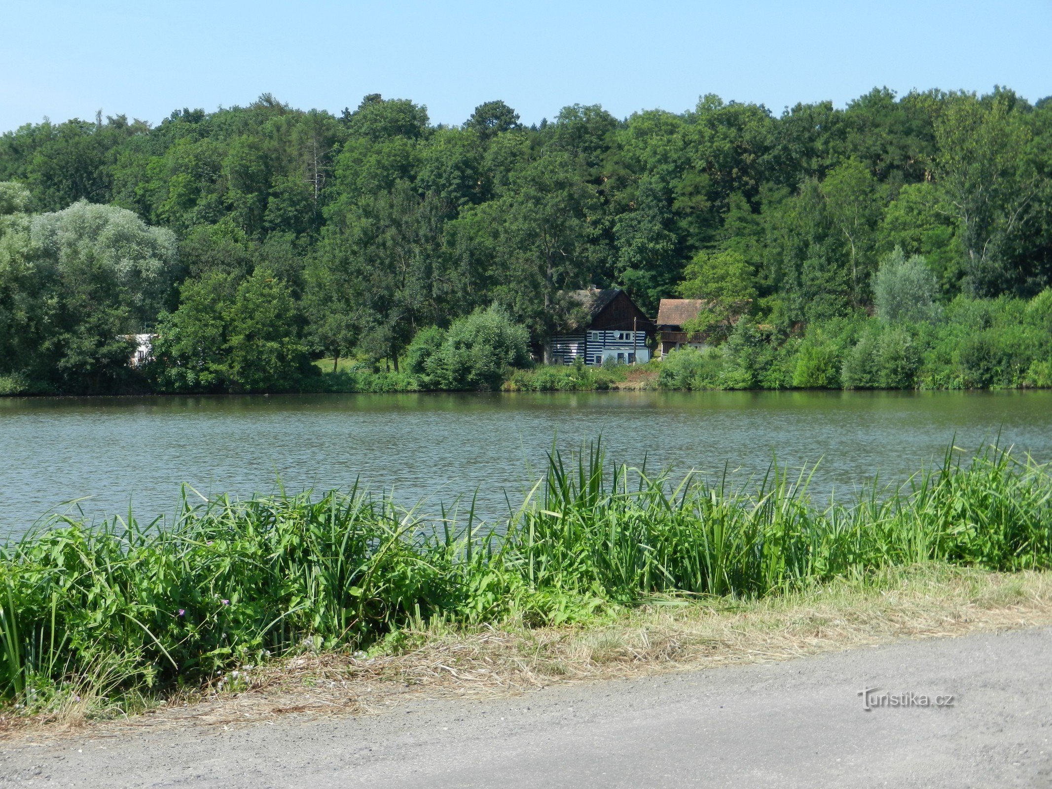 Chamberlain Pond