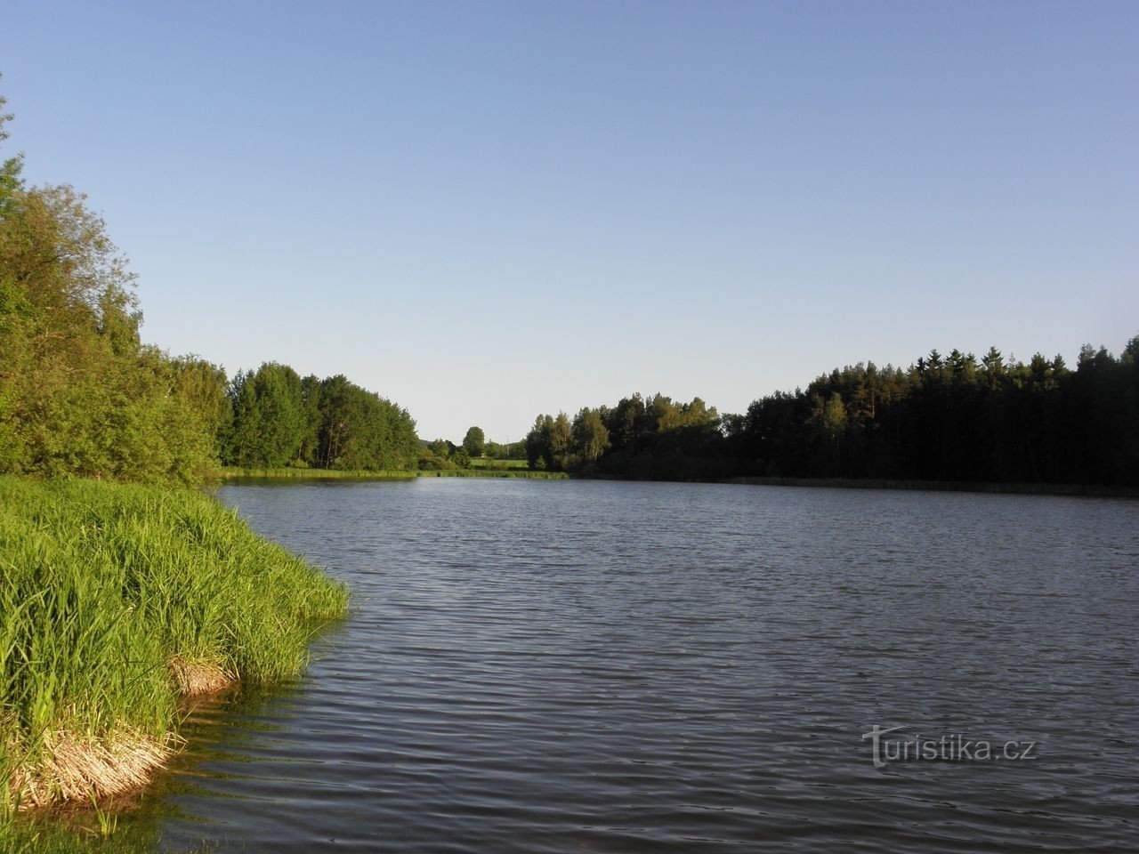 Rybník Komorník - 5.6.2010/XNUMX/XNUMX