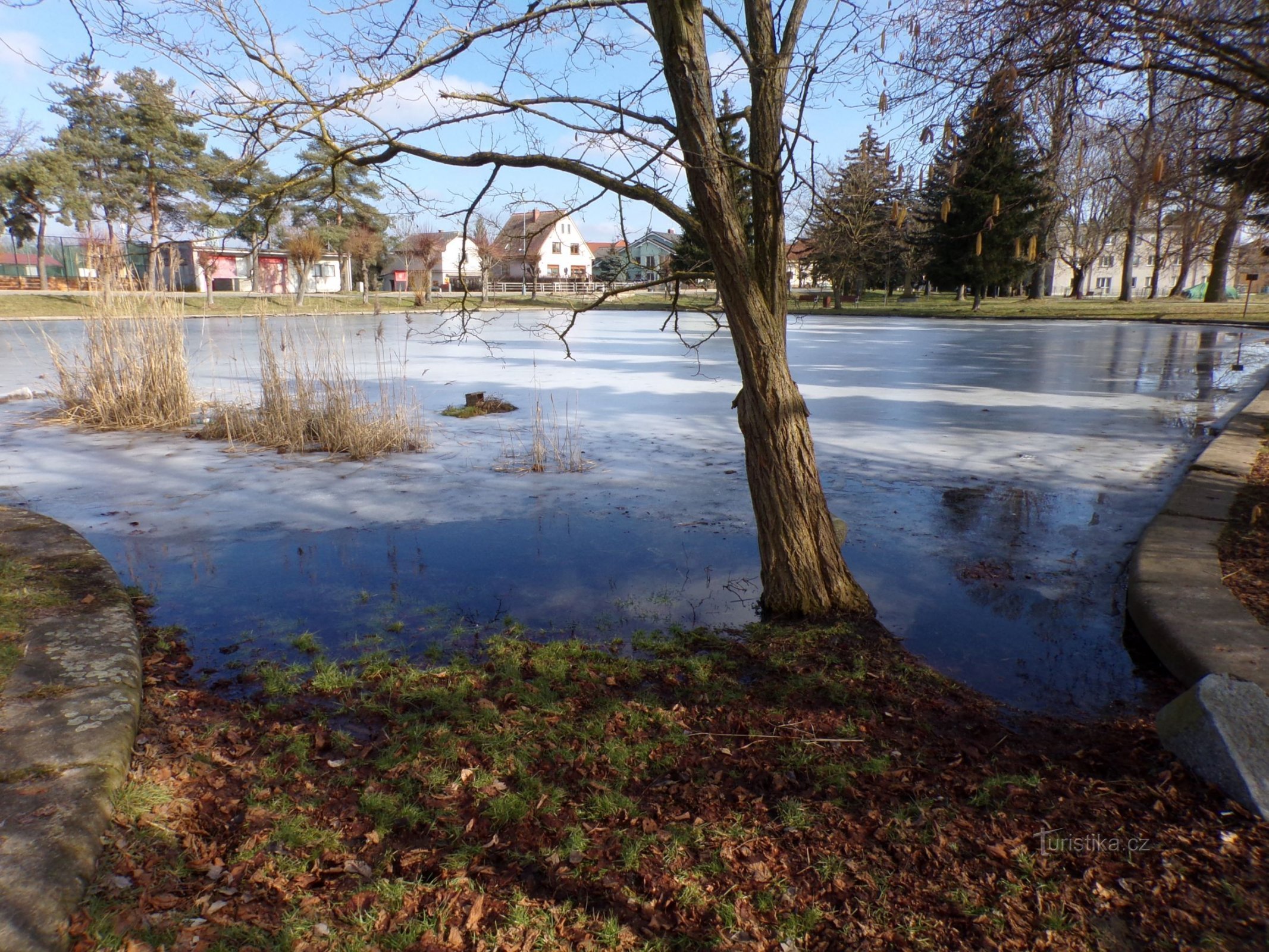 Koňák Pond (Staré Ždánice, 28.2.2021/XNUMX/XNUMX)