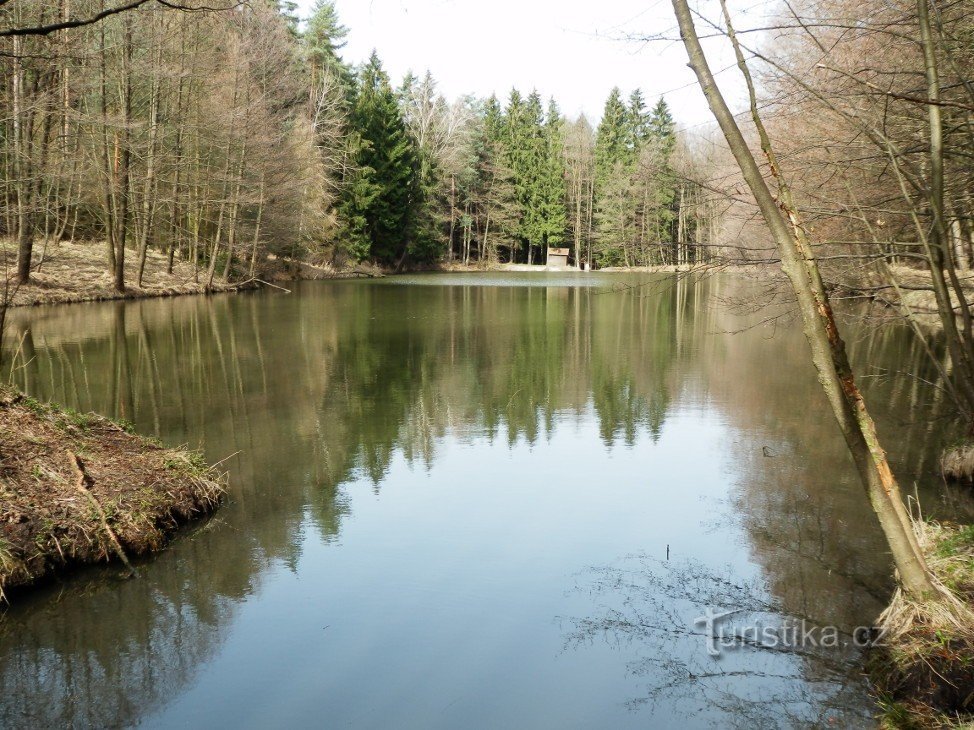 Stagno Kopytnářka dalla foce del torrente Bělečské