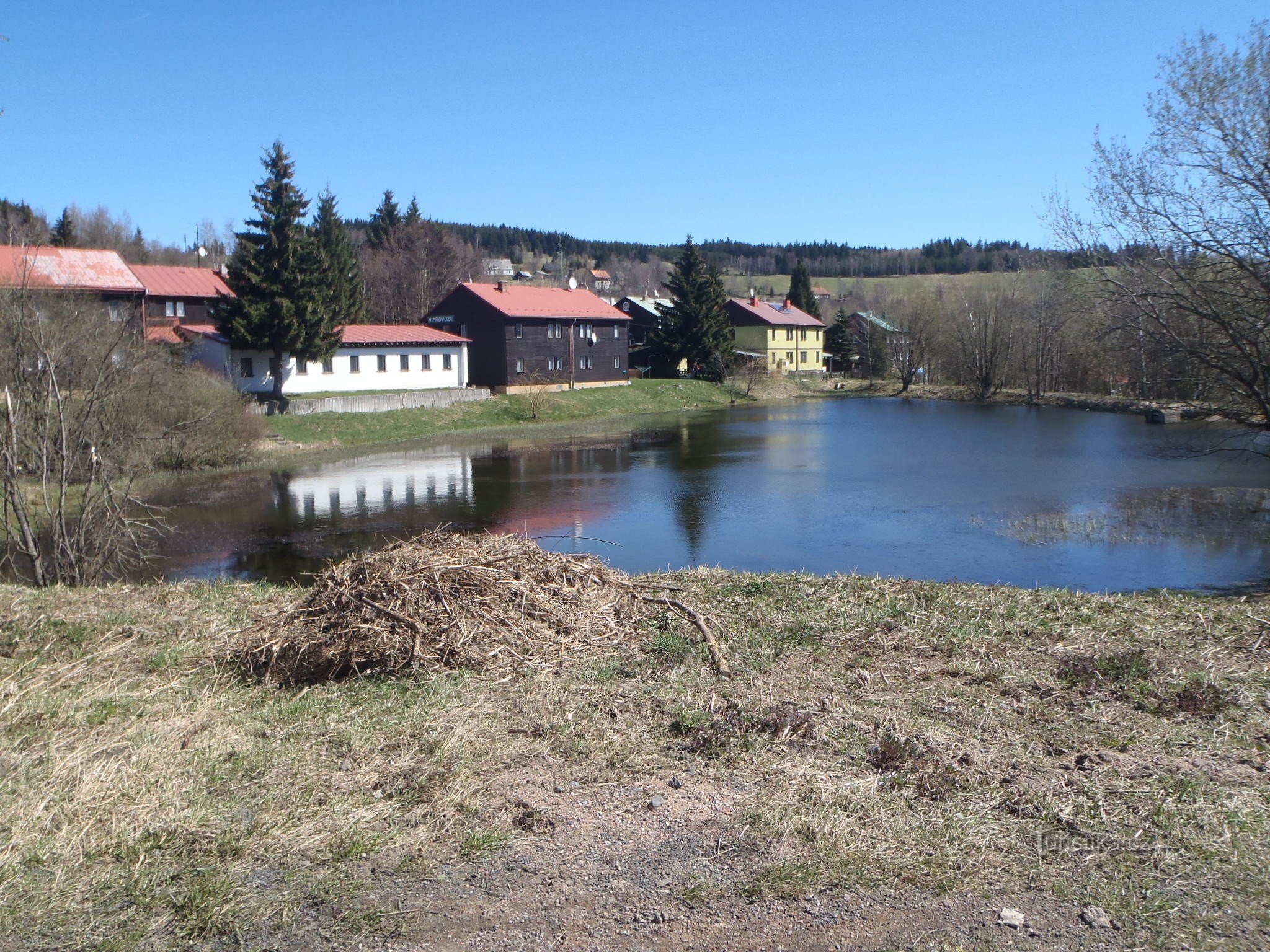 Teich in der Nähe