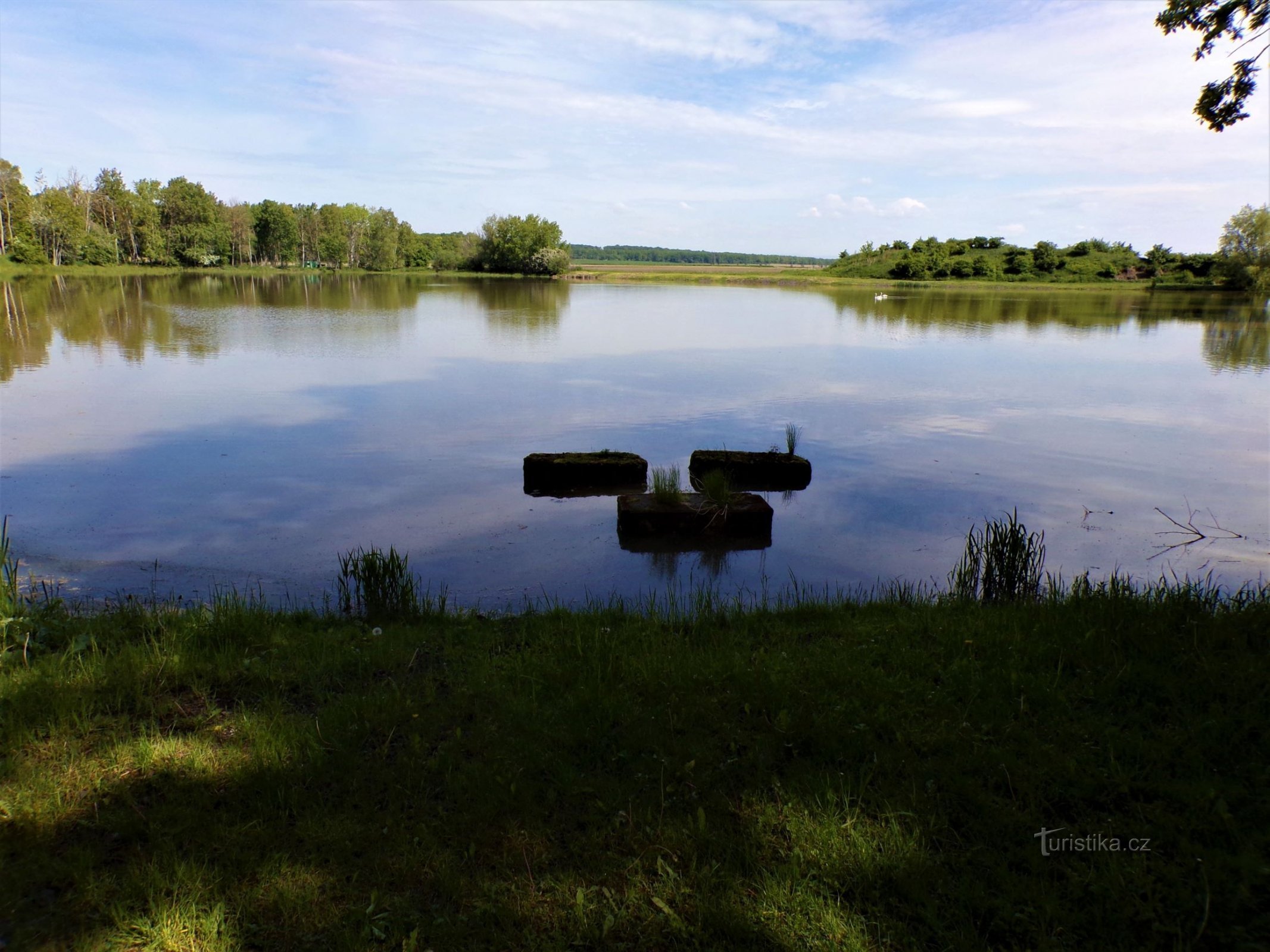 Rabbit Pond (Rabbits, 1.6.2021)