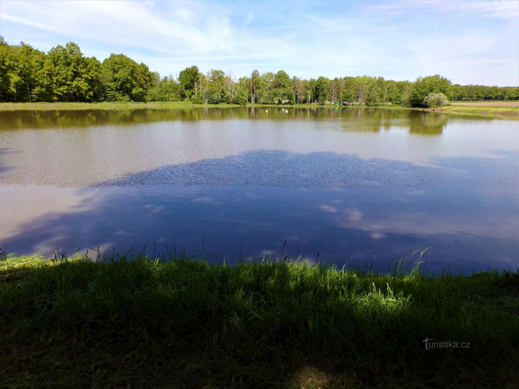 Rabbit Pond (Кролики, 1.6.2021)