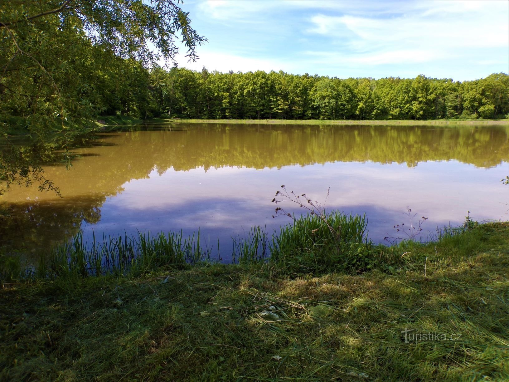 Rabbit Pond (Rabbits, 1.6.2021.)