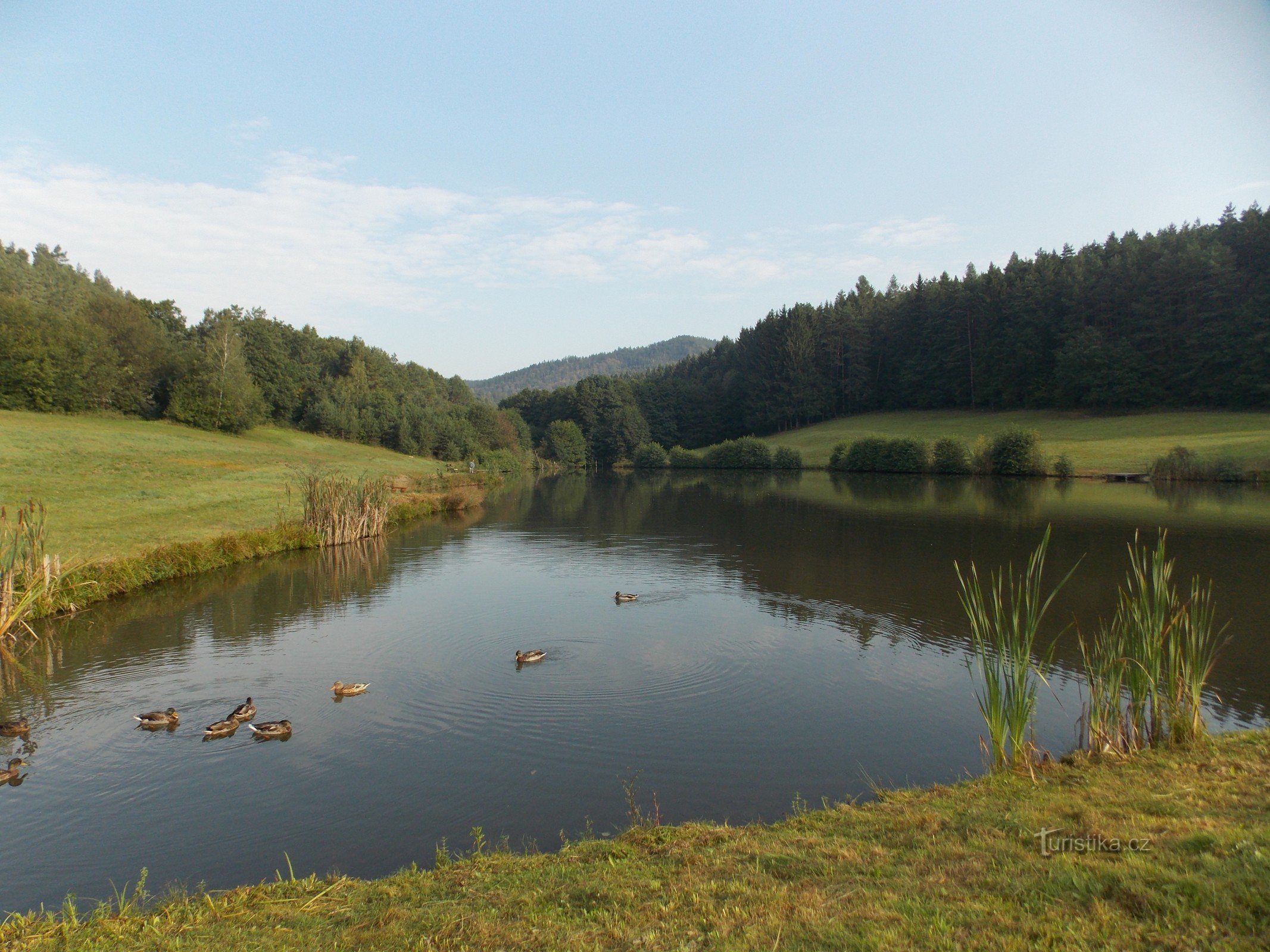 Rybník - Piękna martwa natura w pobliżu Újezd ​​​​w pobliżu Valašské Klobouk