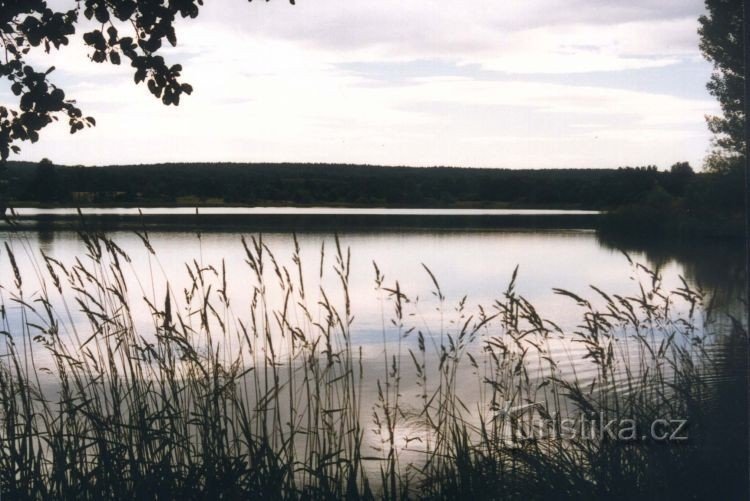 Lásenice pond