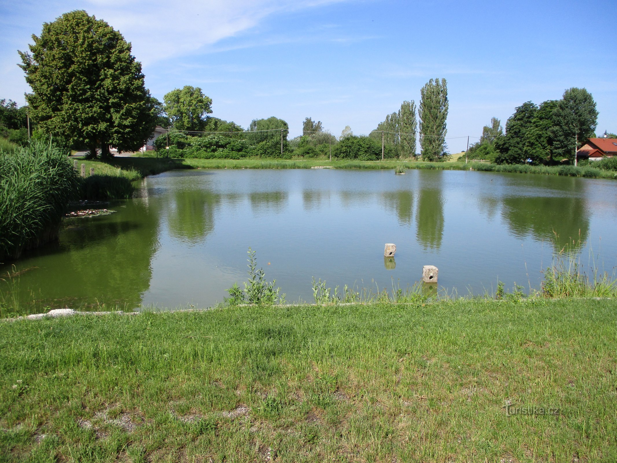 Teich (Lejšovka)