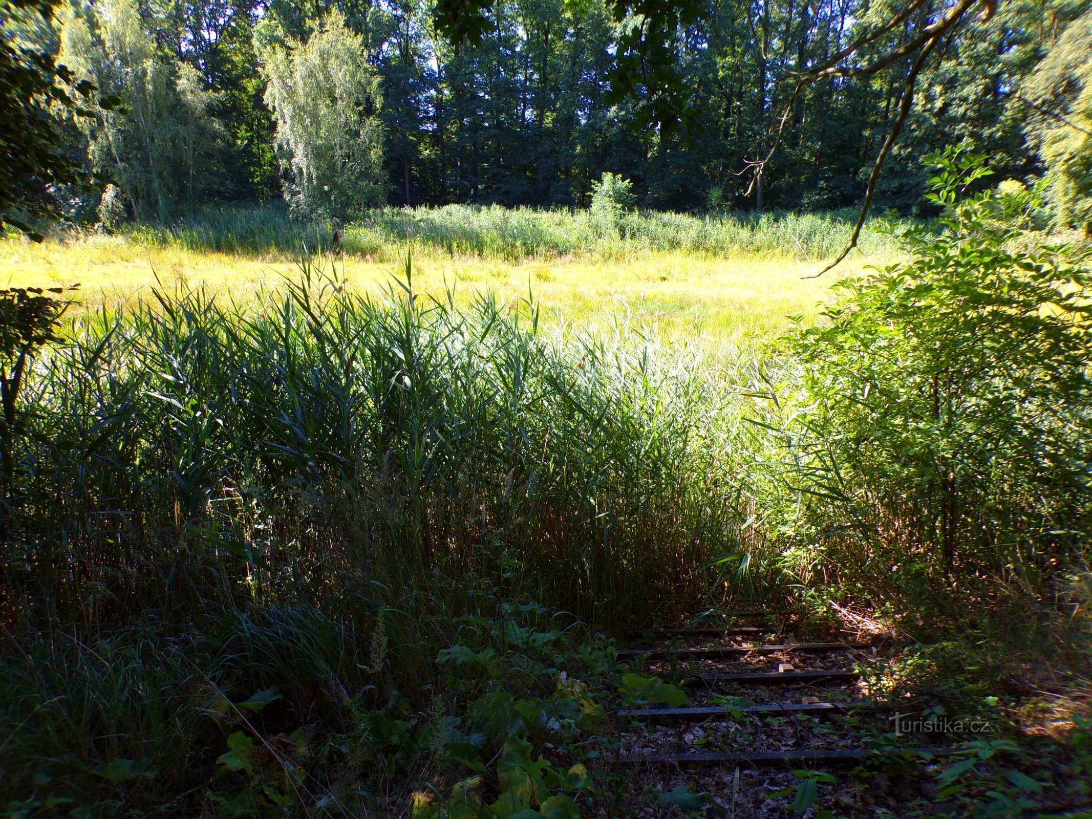 Lhotáček Pond (Chýšť, 17.7.2022 juli XNUMX)