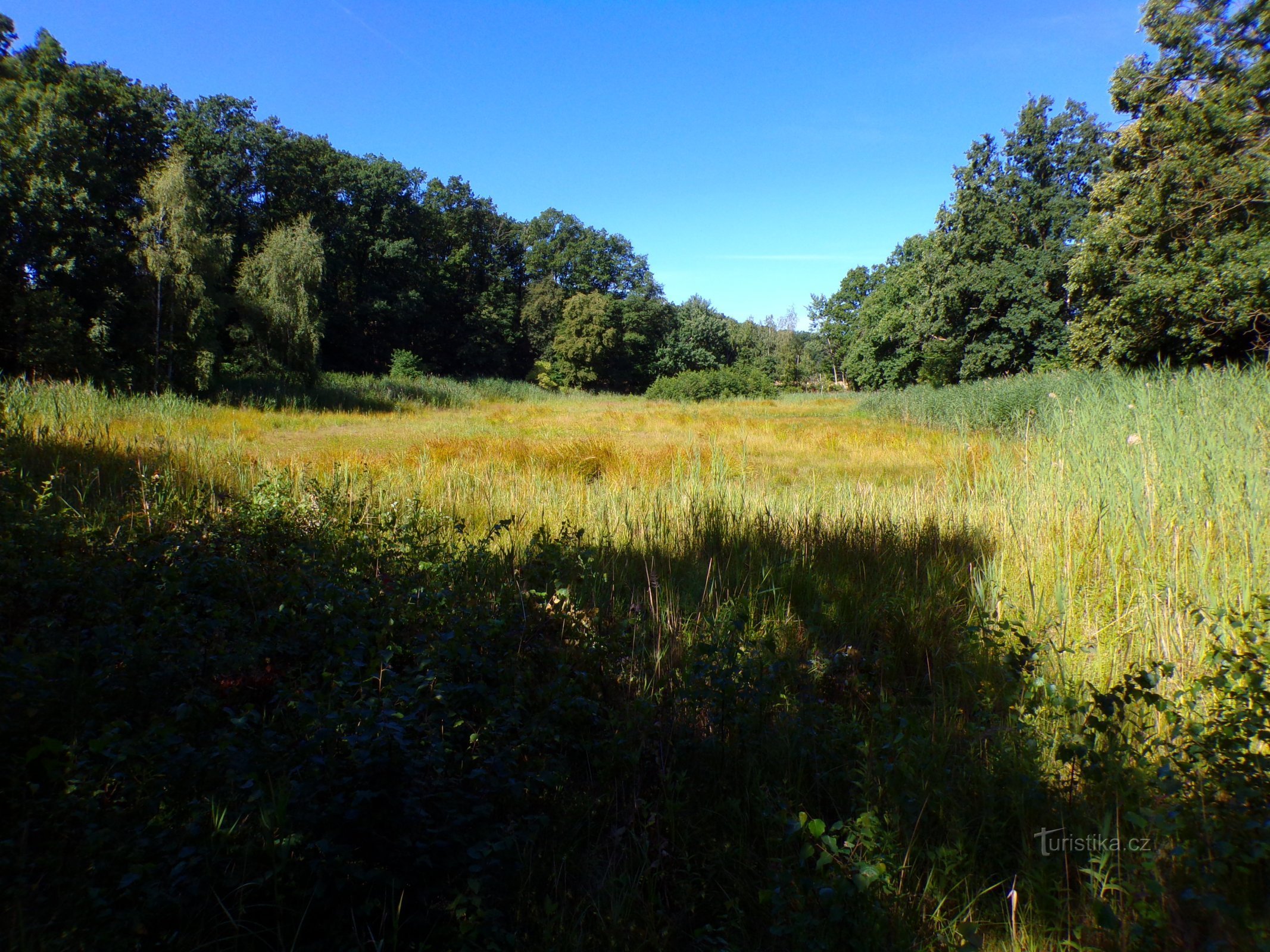 Lhotáček Pond (Chýšť, 17.7.2022)