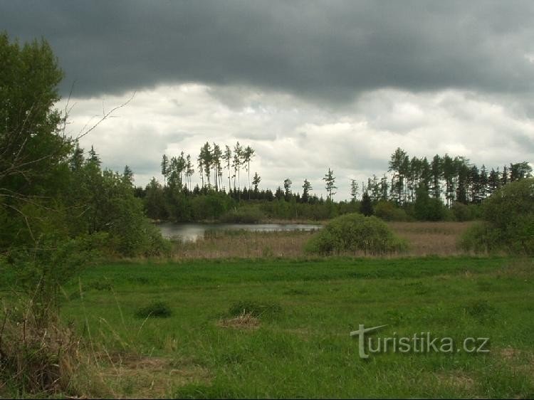 Maršovec pond