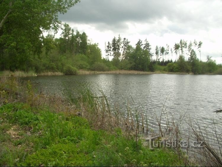 Maršovec pond