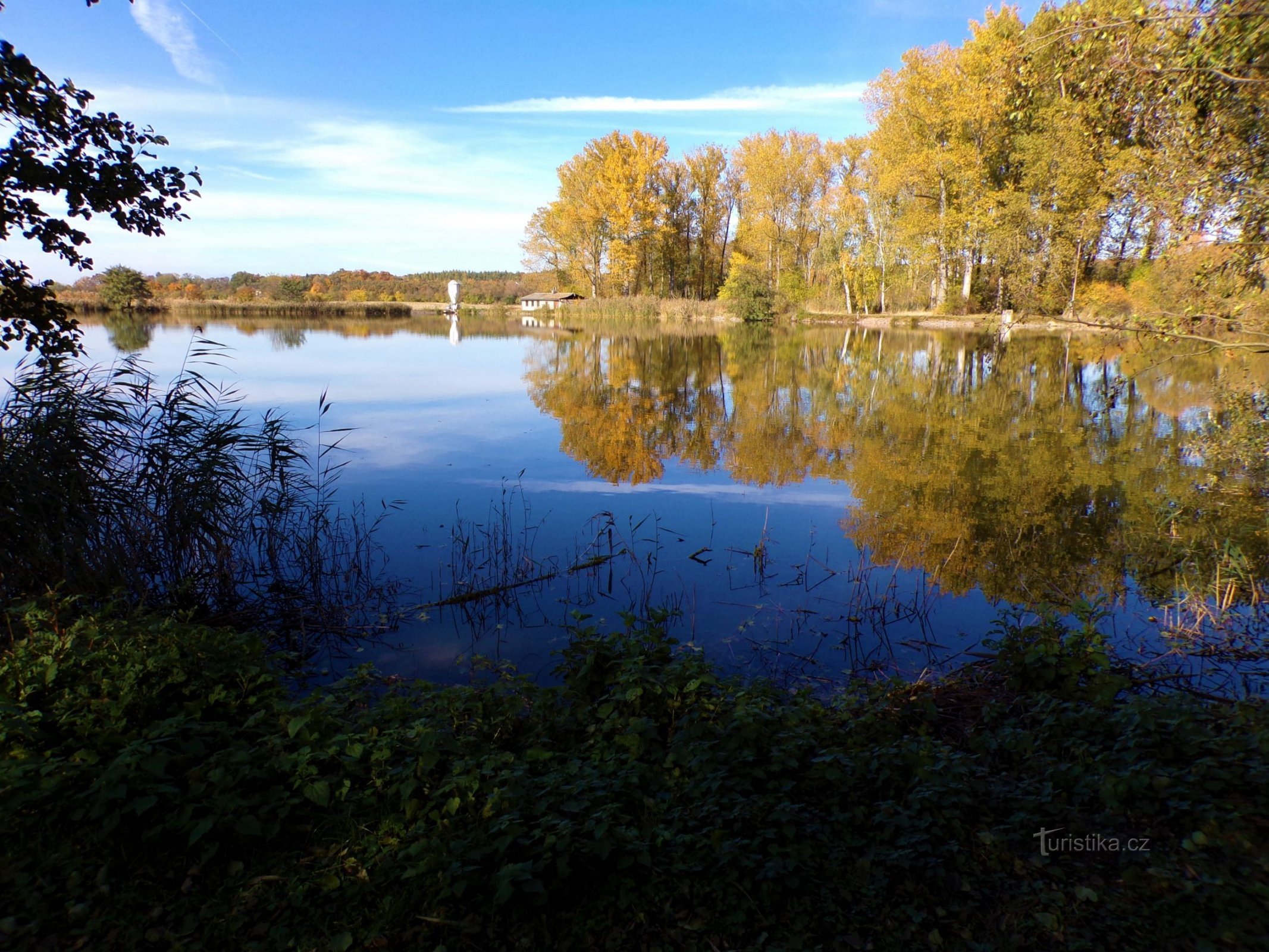 Rybník Medříč (Smidary, 24.10.2021)