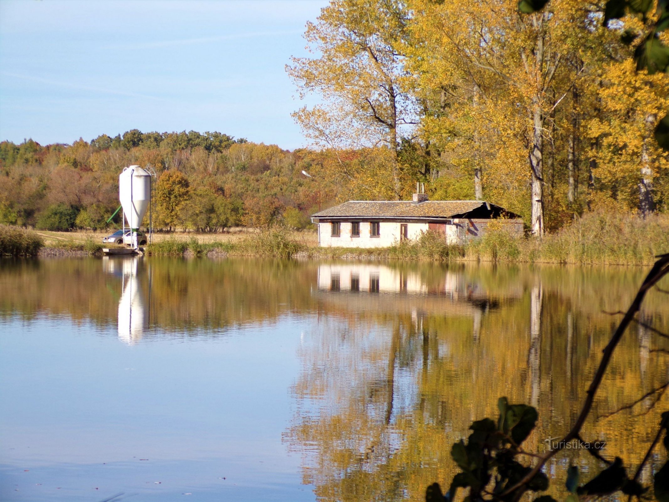 Medříč Pond (Smidary, 24.10.2021/XNUMX/XNUMX)