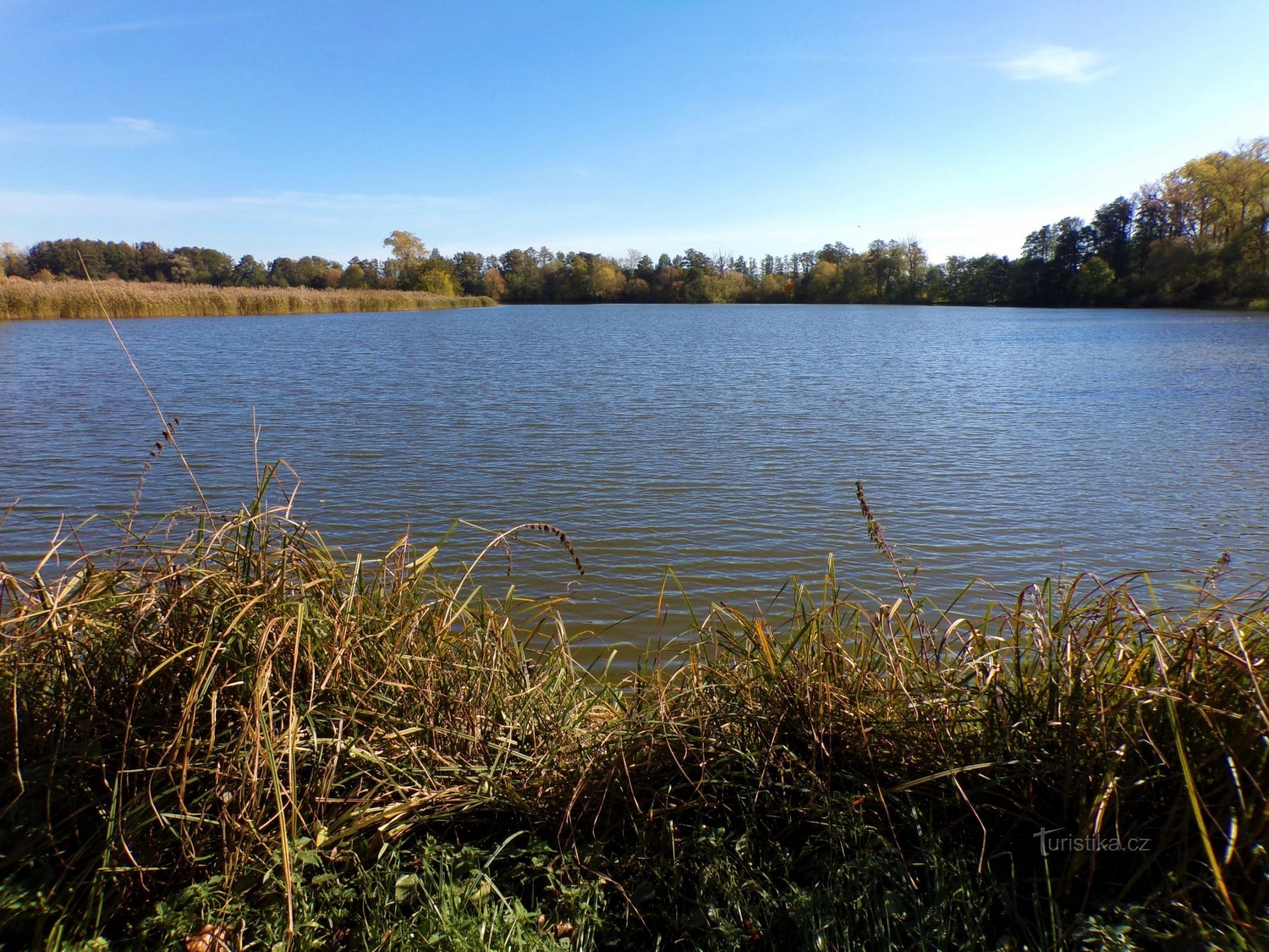 Medříč Pond (Smidary, 24.10.2021/XNUMX/XNUMX)