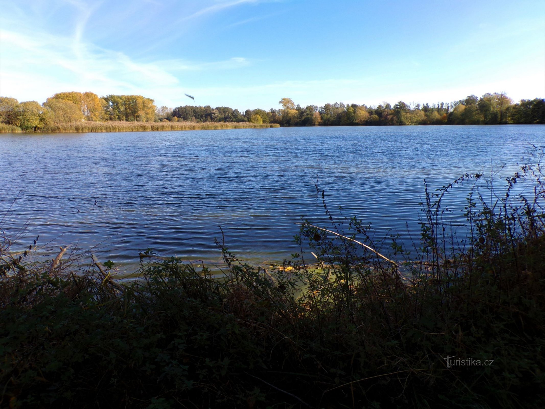 Medříč Pond (Smidary, 24.10.2021/XNUMX/XNUMX)