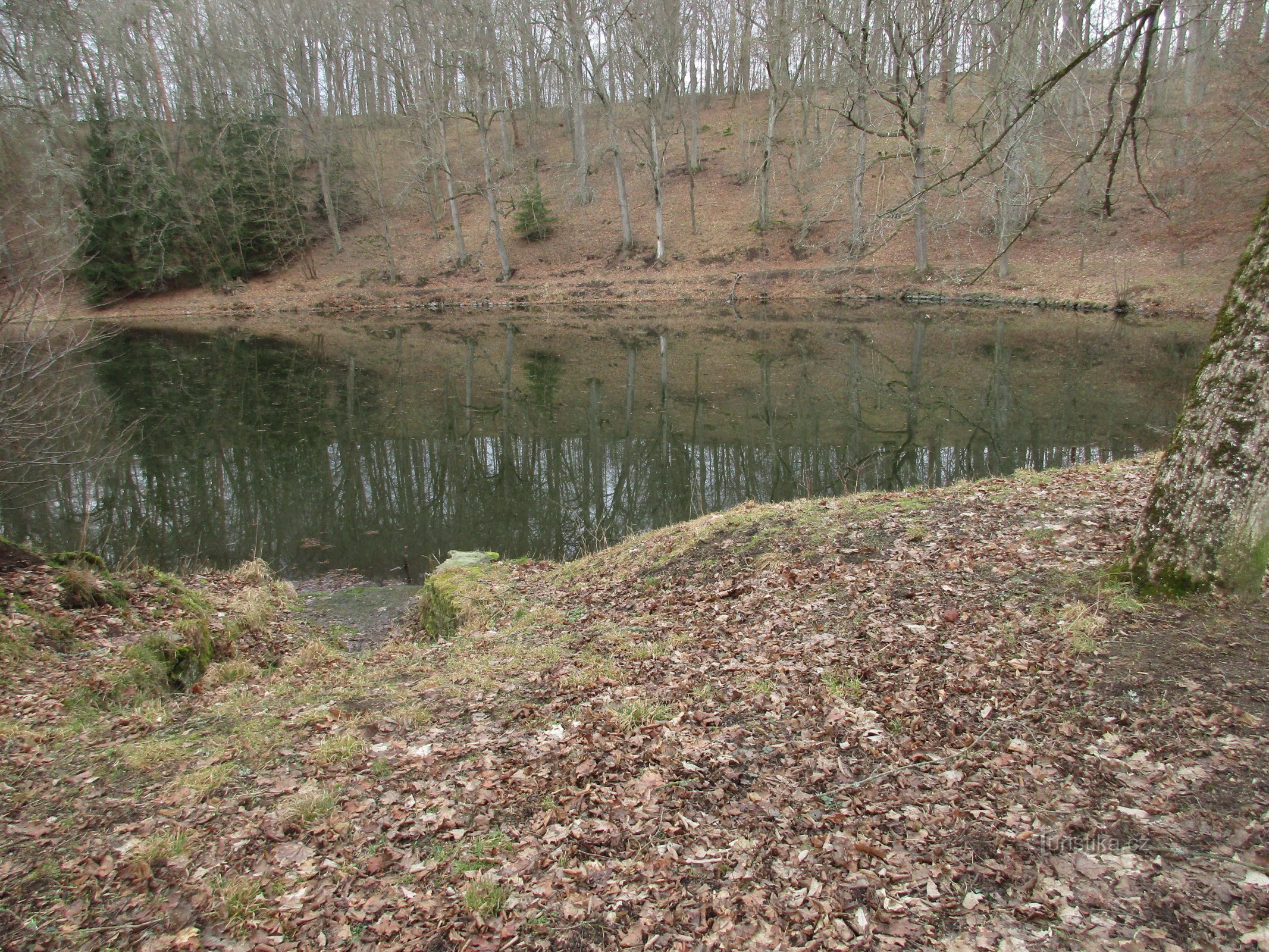 Mičan pond