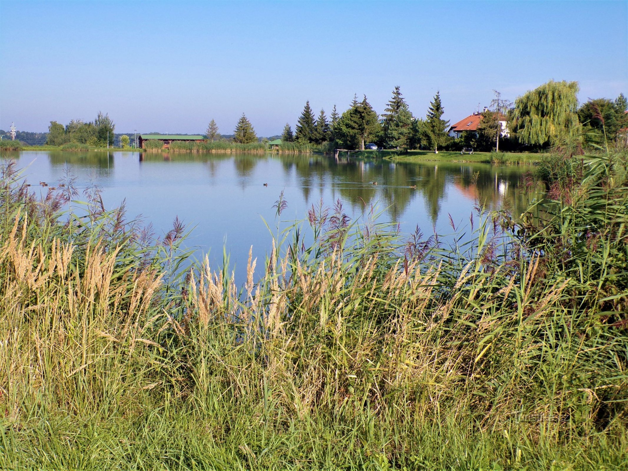 Močidlo dam (Lodín, 15.8.2021/XNUMX/XNUMX)