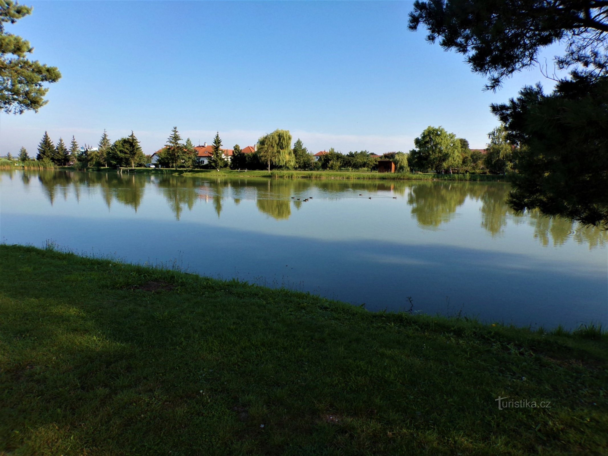 Močidlo Pond (Lodín, 15.8.2021/XNUMX/XNUMX)