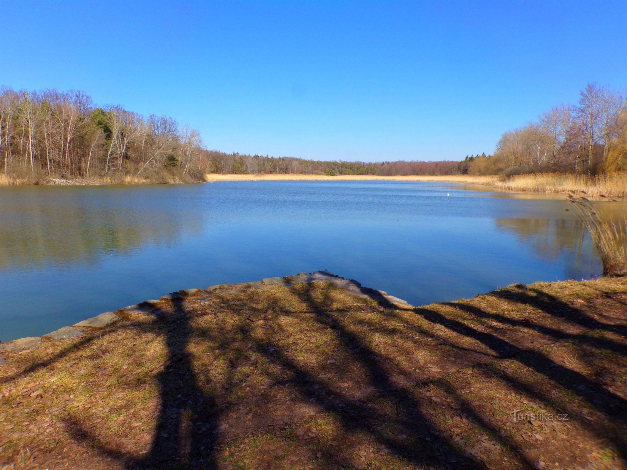 Mordýř Pond (Horní Ředice, 21.3.2022)