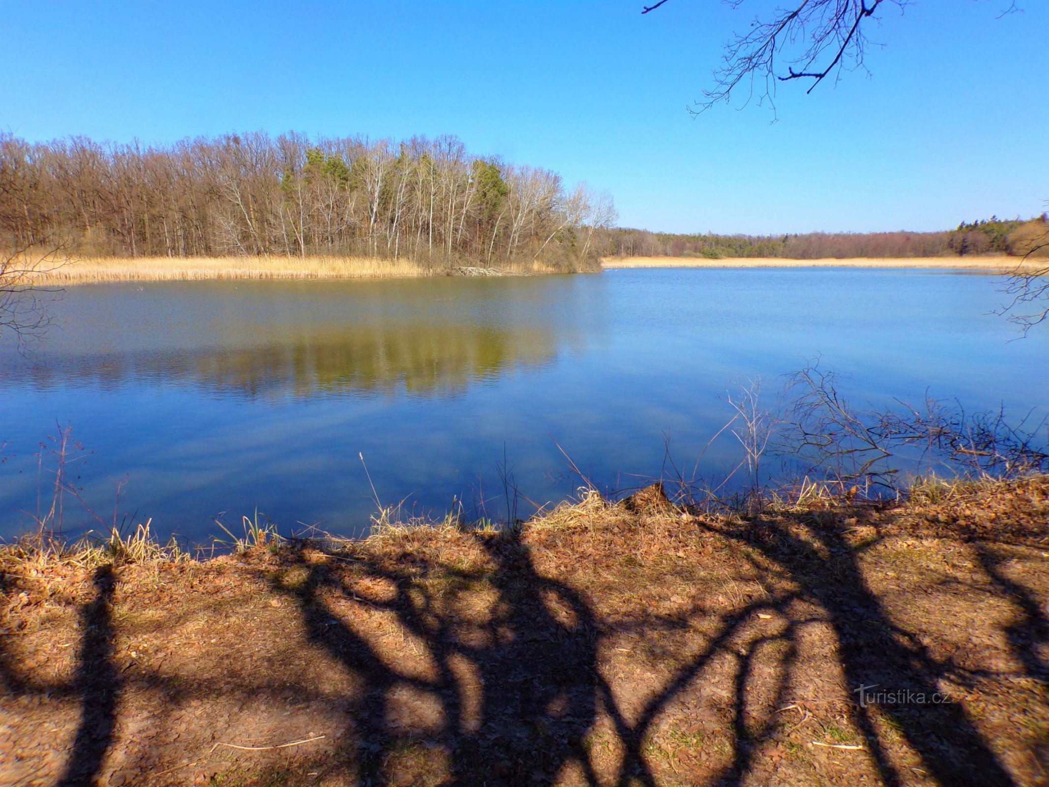 Rybník Mordýř (Horní Ředice, 21.3.2022)