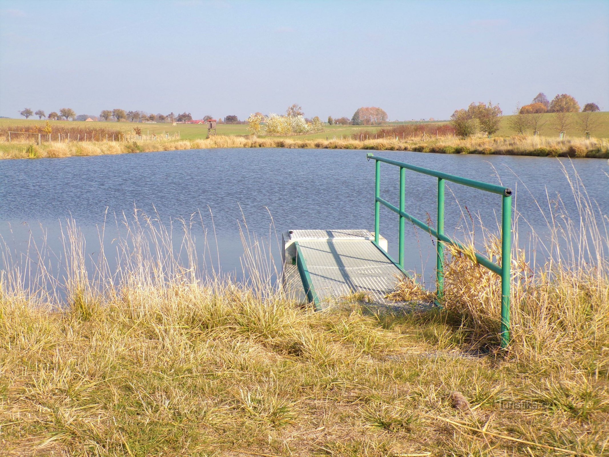 Rybník Na Mlakách (Benátky, 1.11.2021)