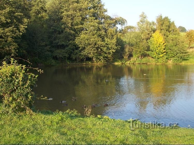 Ribnik na potoku Nadějovské: Pogled na ribnik na potoku Nadějovské