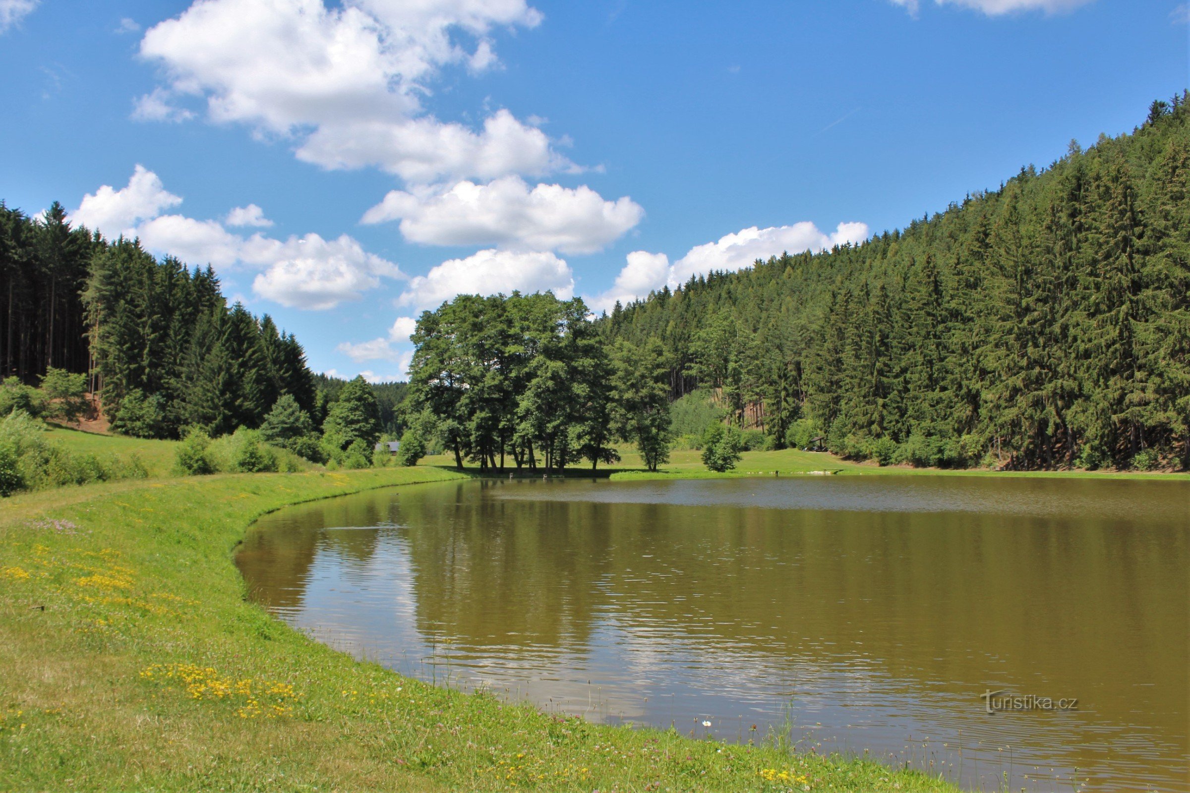 Teich auf dem Zaun