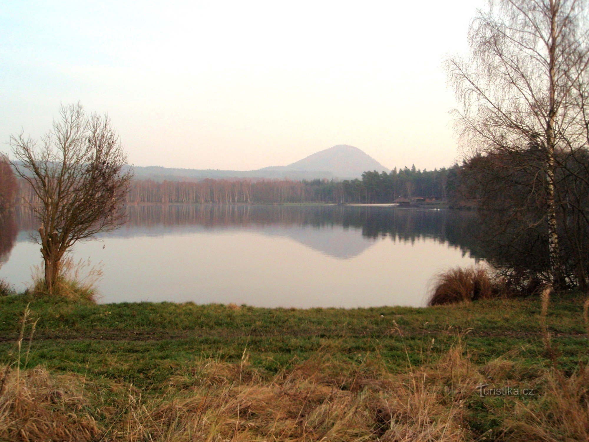 Pond in autumn