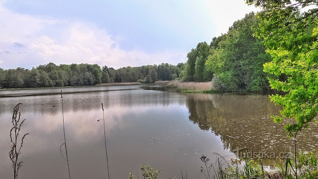 Nečas pond