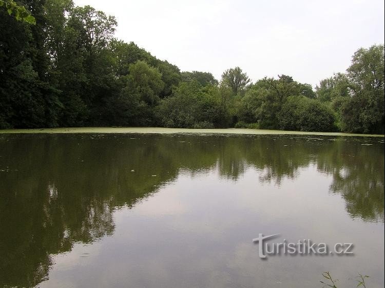 Olšák dam