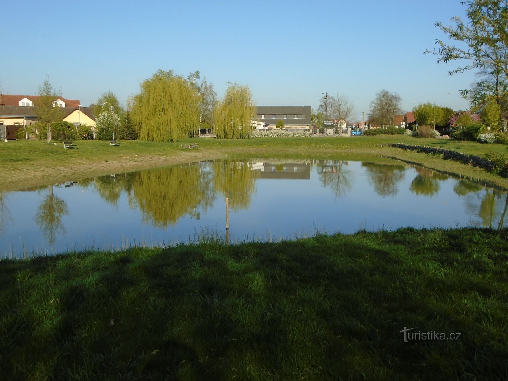 Estanque de Olšina (Srch, 21.4.2019/XNUMX/XNUMX)