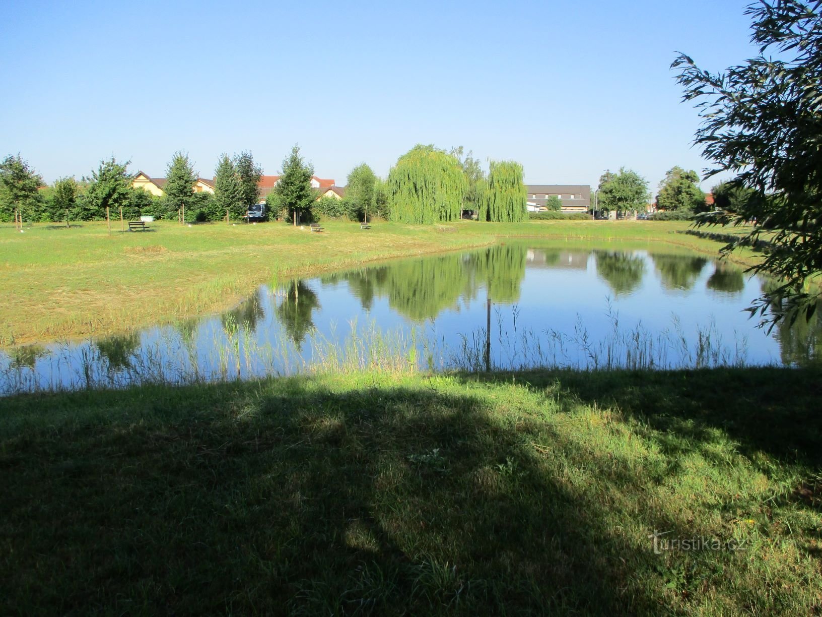 Olšina pond (Srch, 24.7.2019/XNUMX/XNUMX)