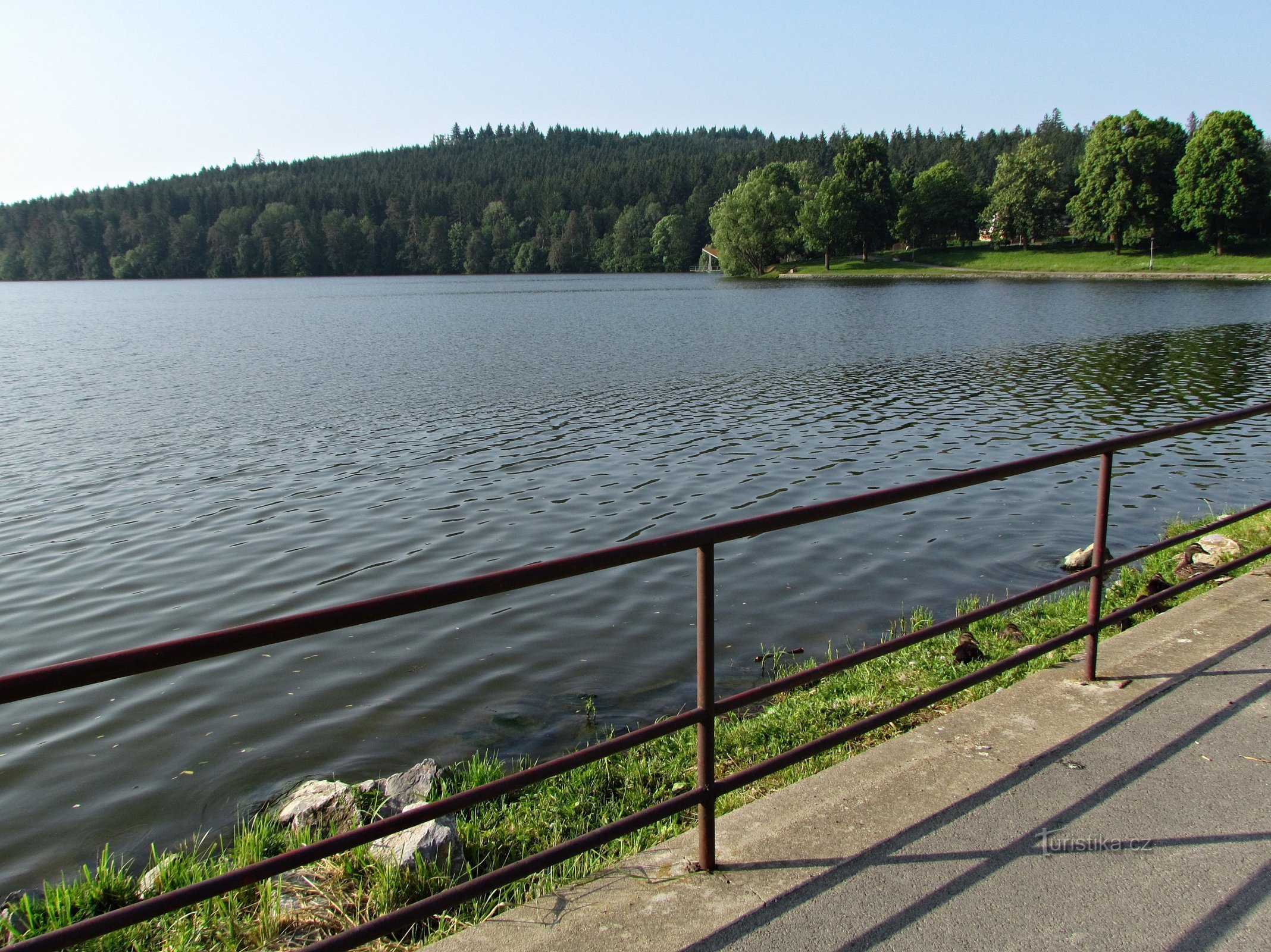 Olšovec pond