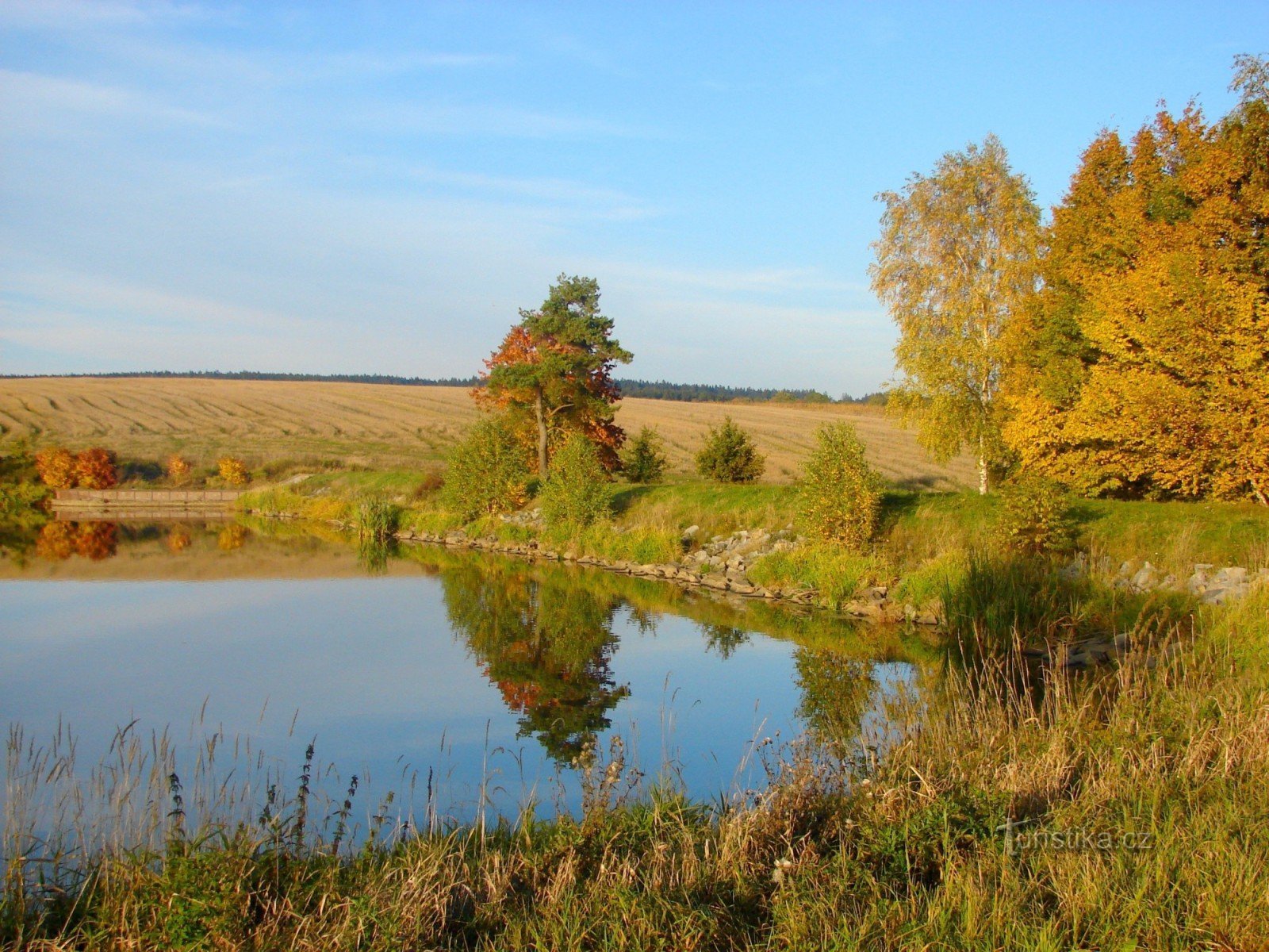 Pond pFLišky. Autumn 08.