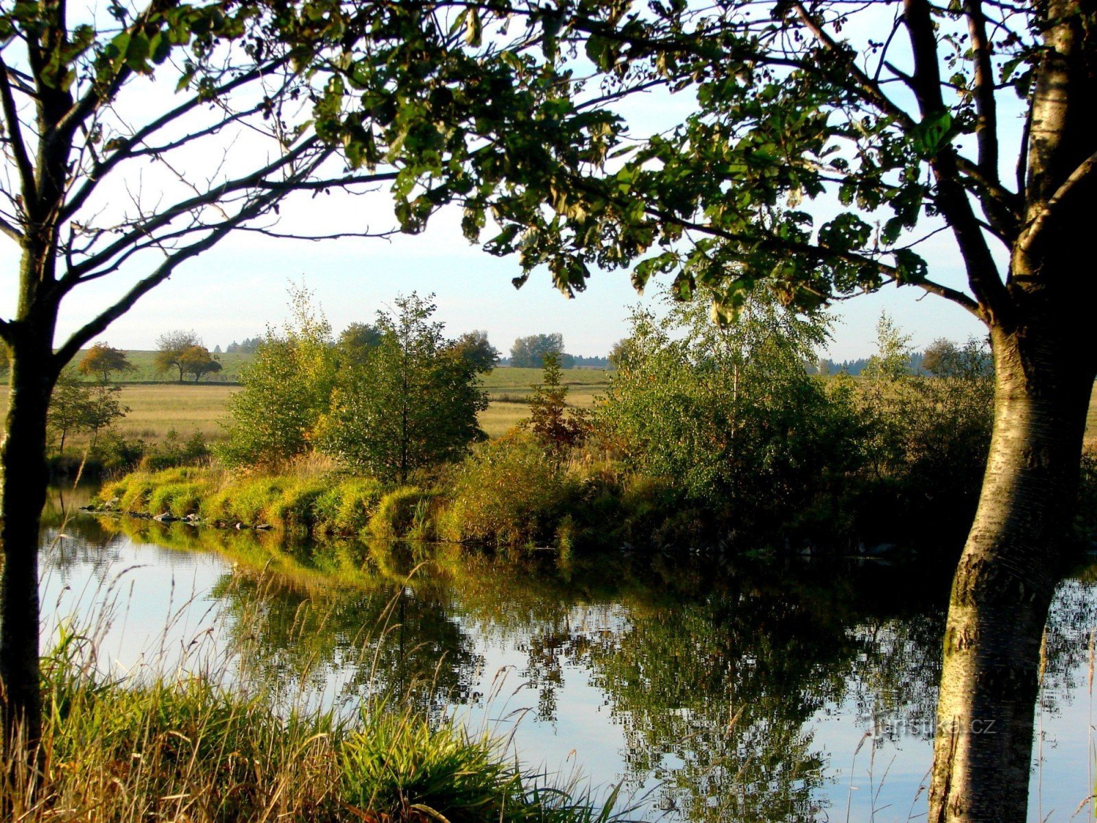 Pond pFLišky. Mùa thu 08.