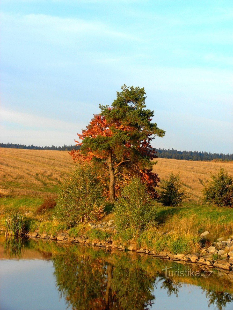 Staw pFLišky Jesień 08.