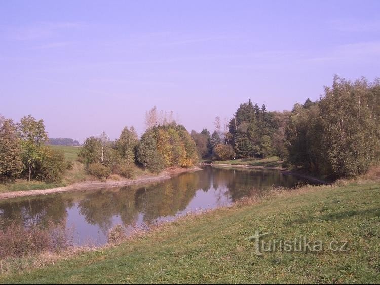 Palačov dam