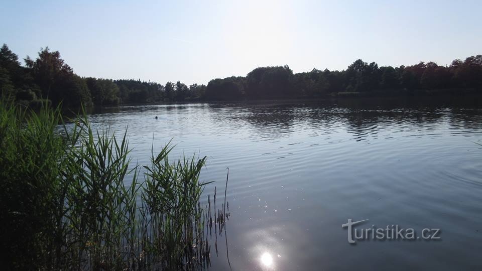 Pámětník dam