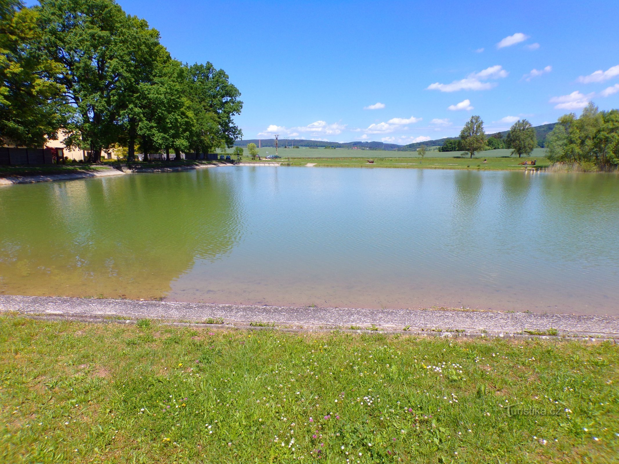 Staw Pardoubek (Uzdrowisko Białohrad, 31.5.2022)