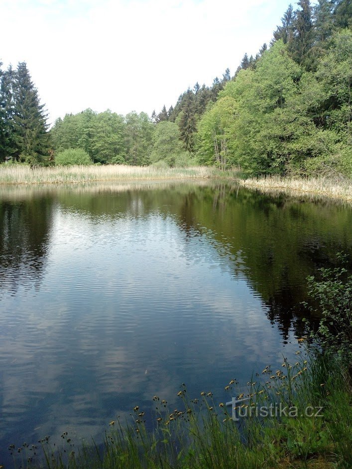 Petrchák dam