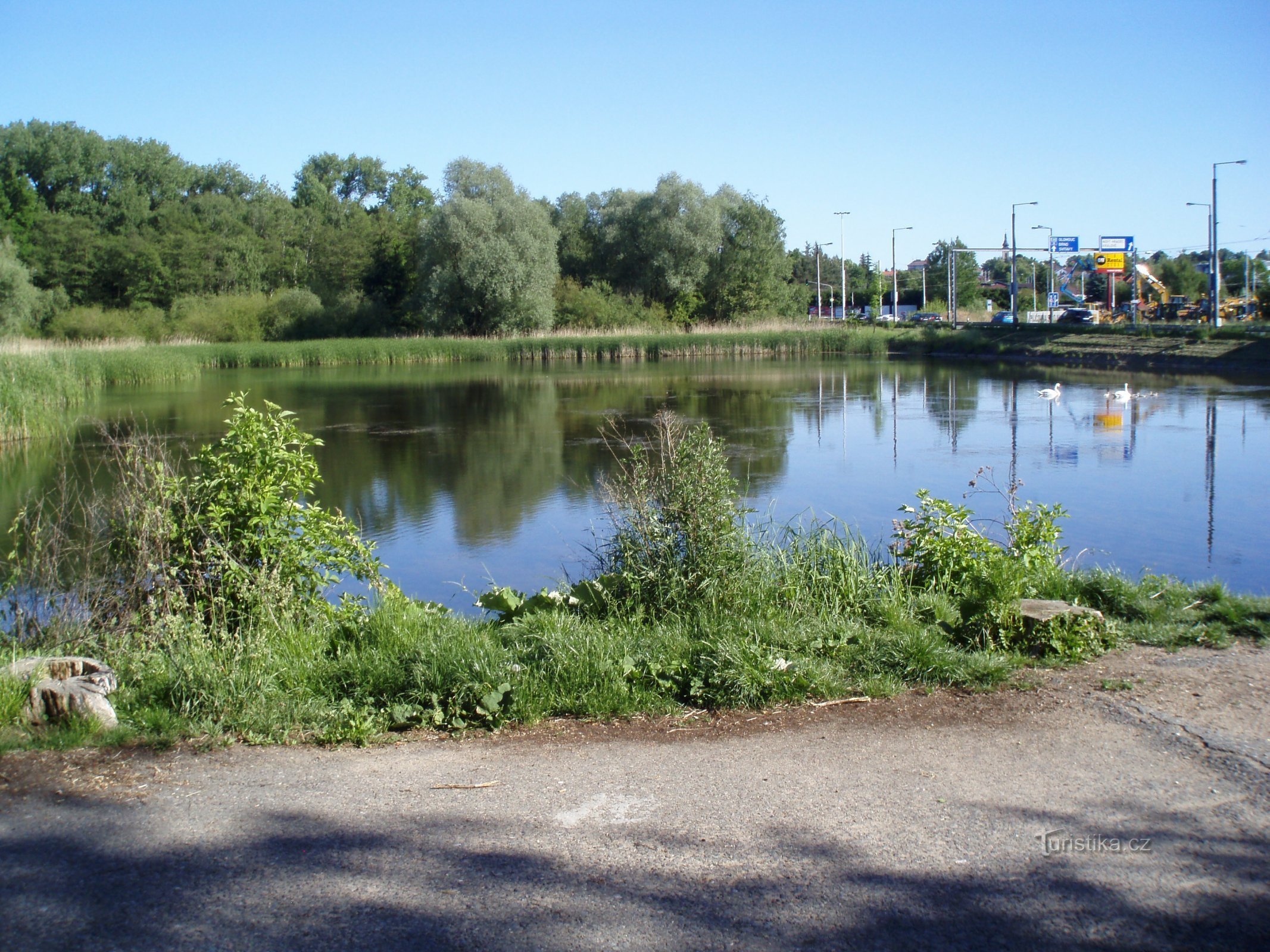 Плахтский пруд (Градец Кралове, 25.5.2011)