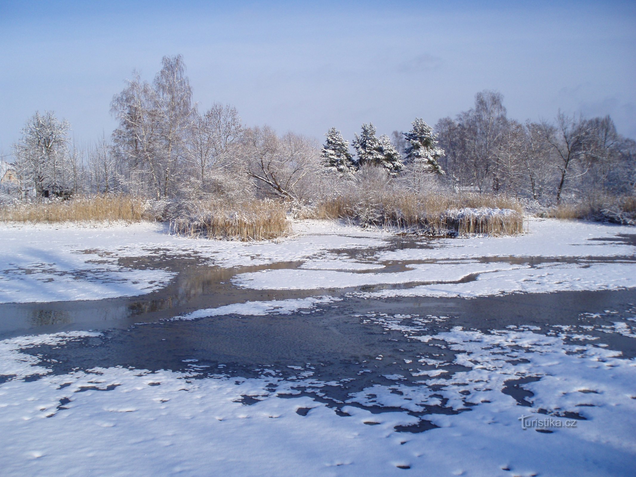 Rybník Plachta (Hradec Králové, 27.11.2010)