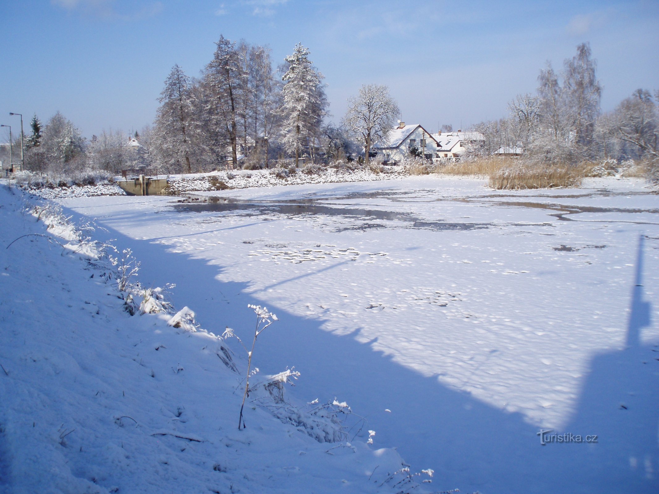 Plachta Pond (Hradec Králové, 27.11.2010)