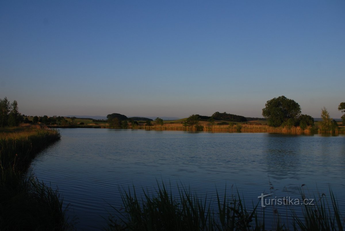 dam Under egetræet