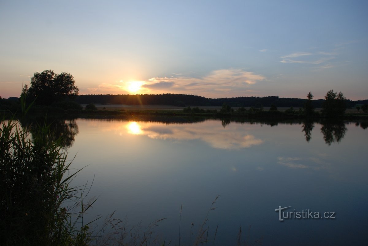 Teich Unter der Eiche