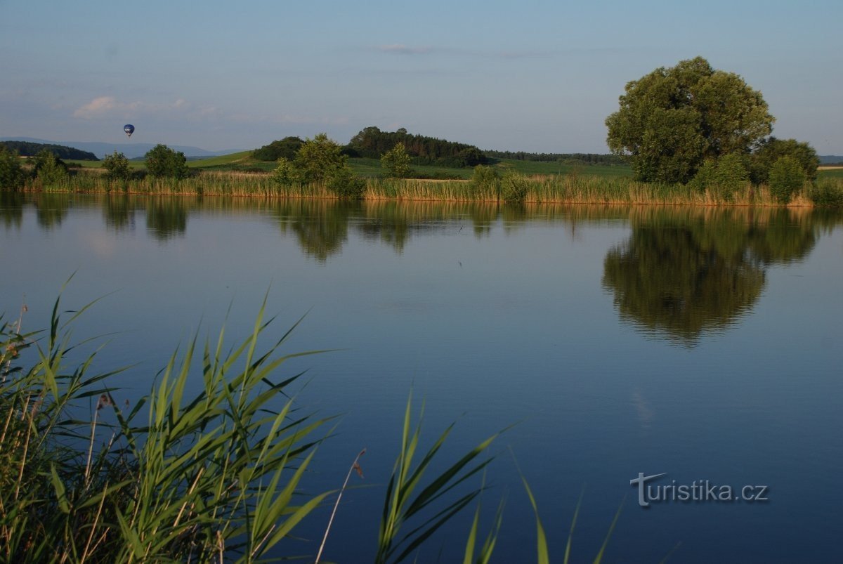 pond Under the oak