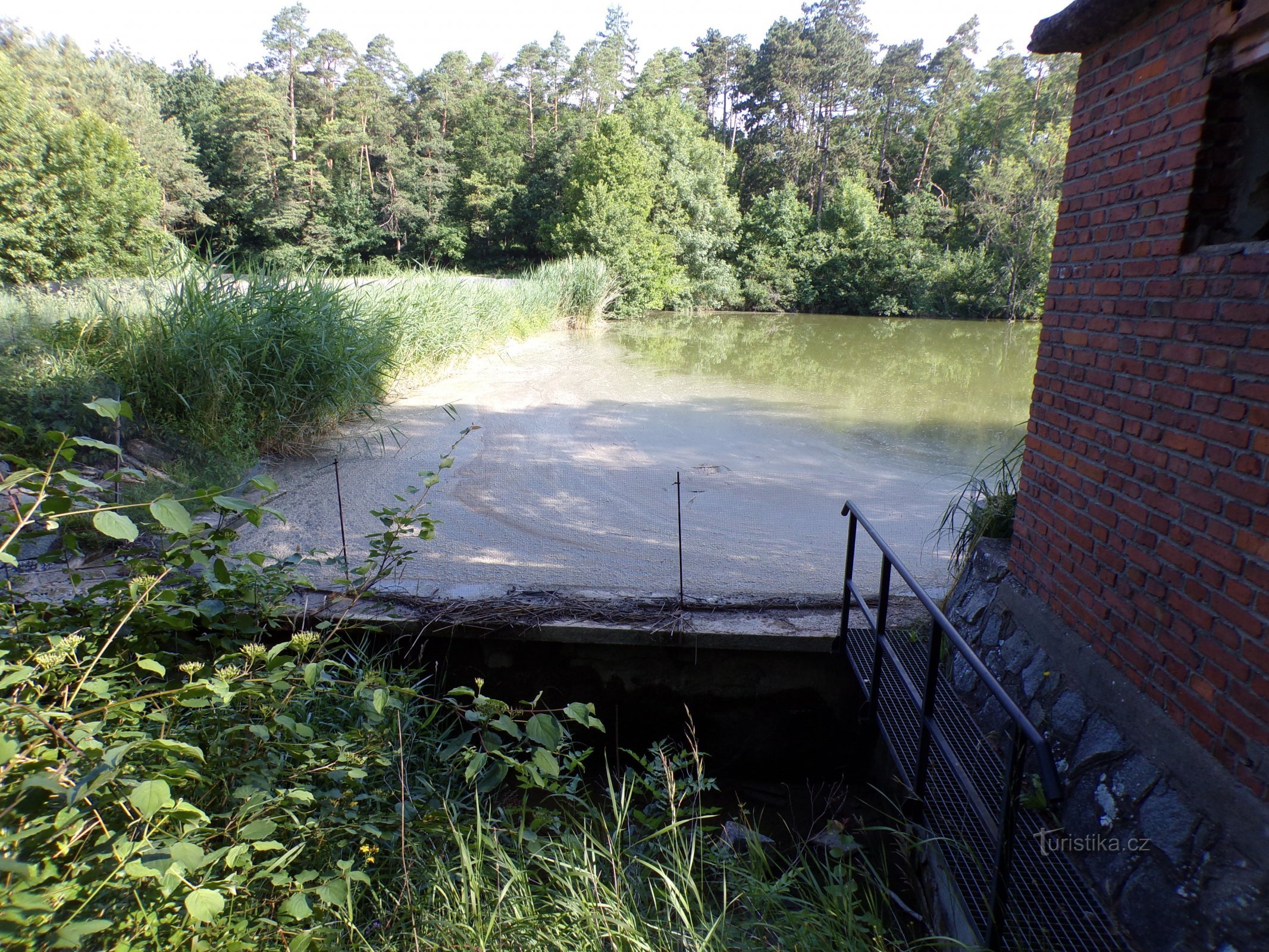 Teich unter dem Wald (Libřice, 4.7.2021)