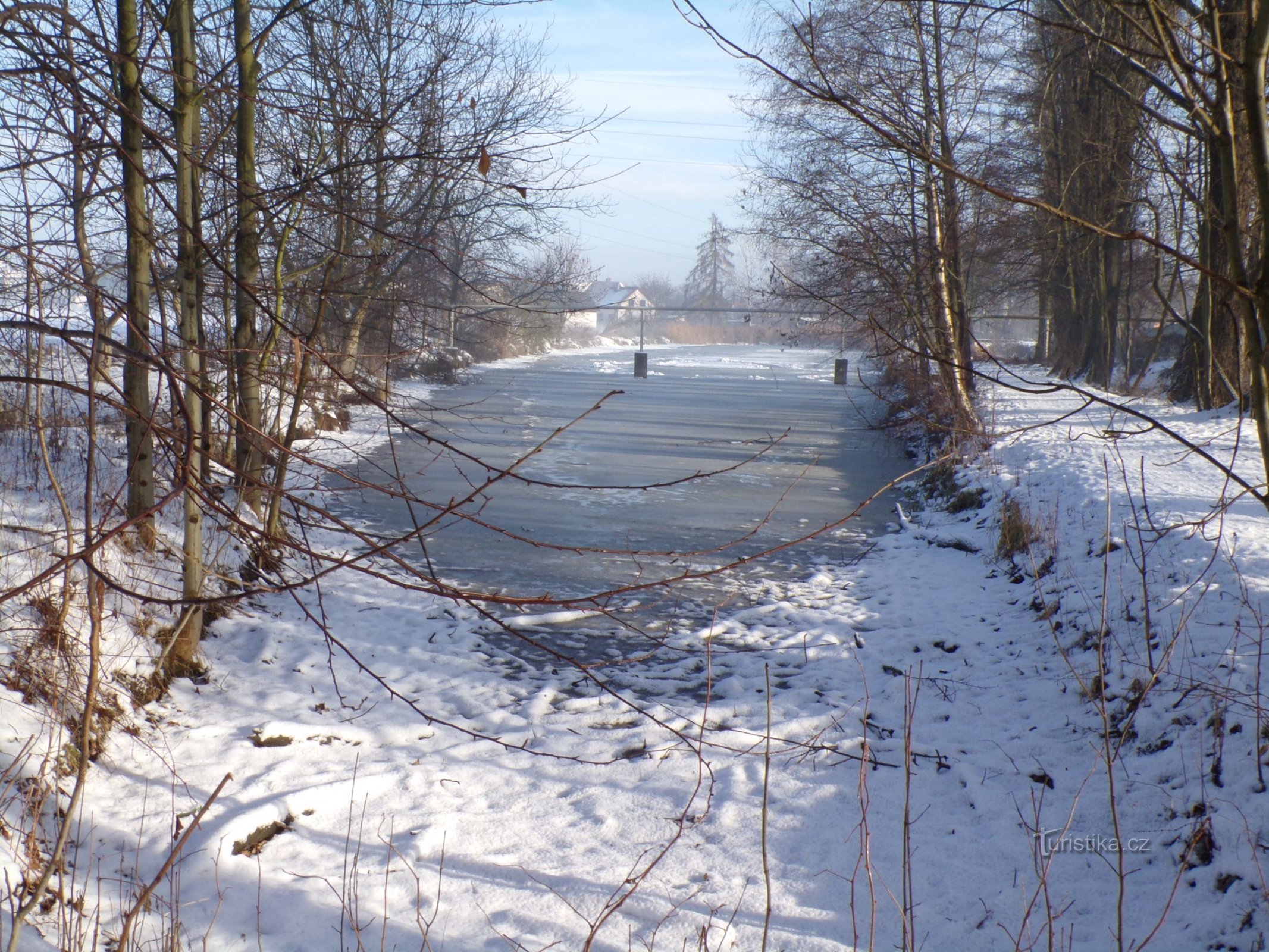 Teich unter Pálenkou (Hradec Králové, 20.1.2021)