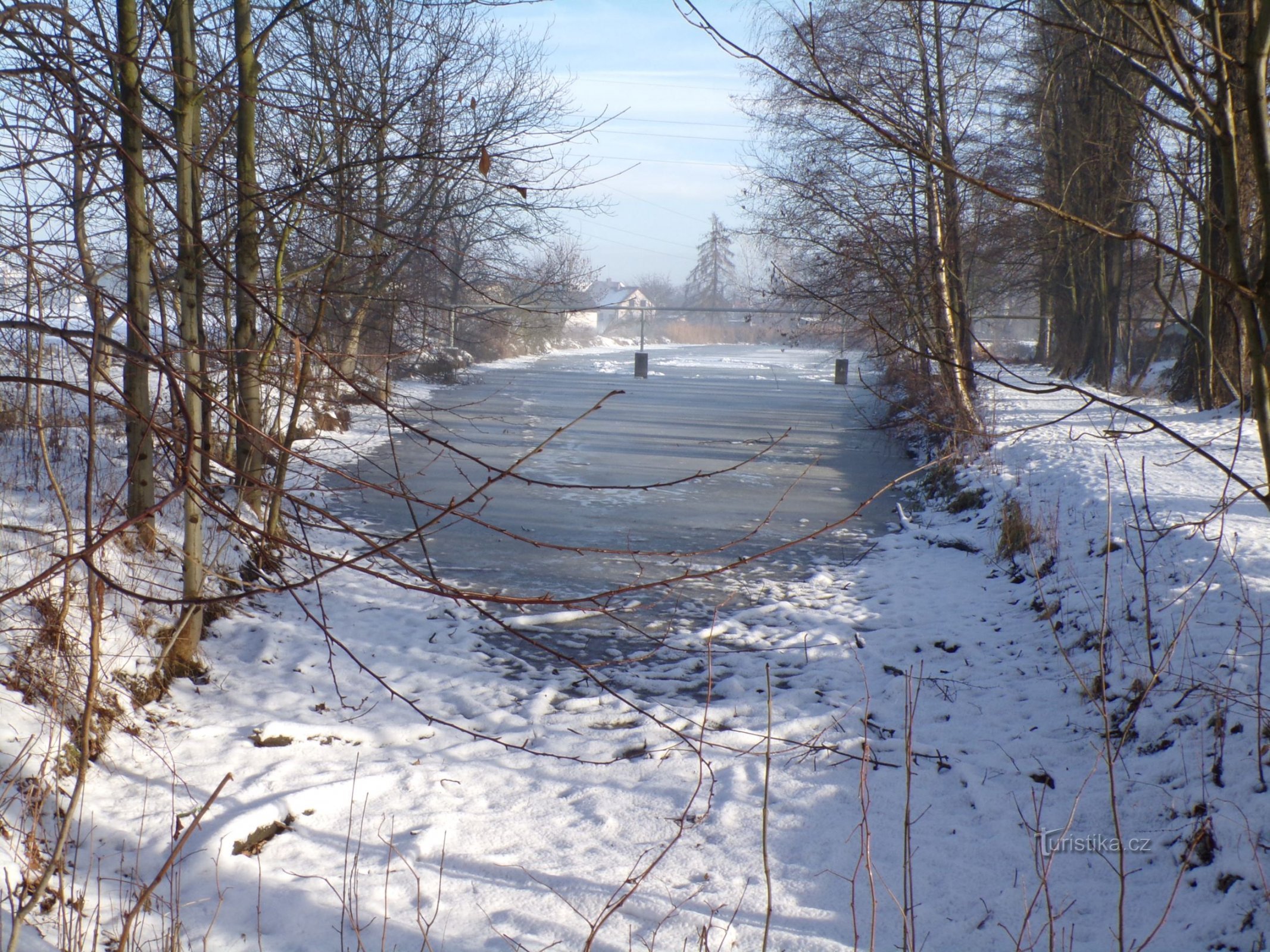 Vijver onder Pálenkou (Hradec Králové, 20.1.2021/XNUMX/XNUMX)