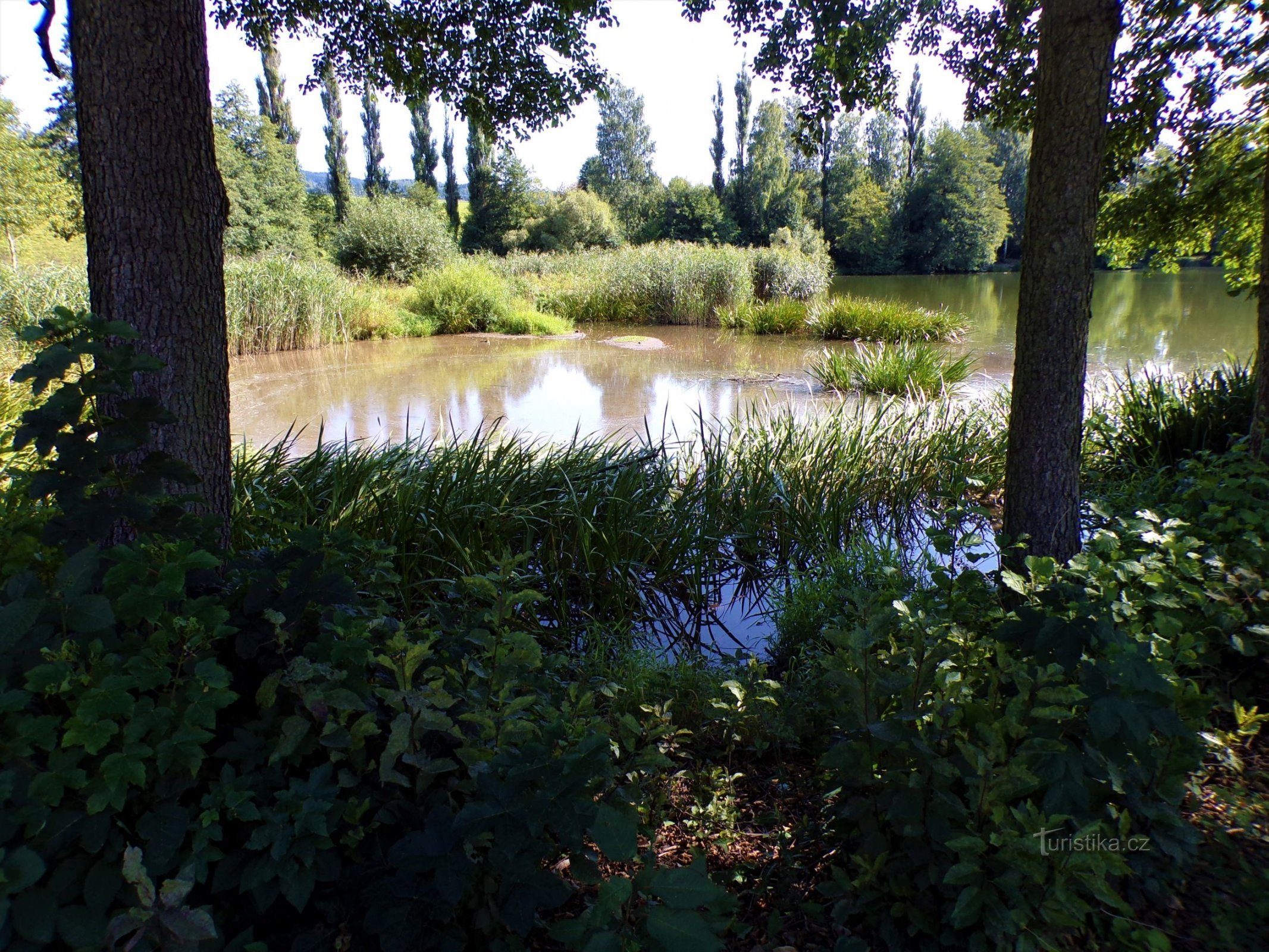 Teich Podháj (Velké Svatoňovice, 6.9.2021)